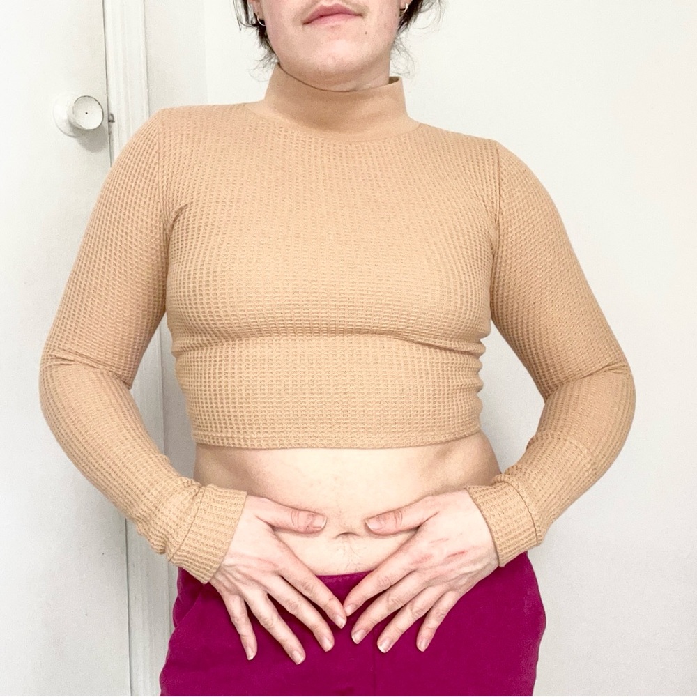 Aerie Beige Ribbed Long Sleeve Crop Top
